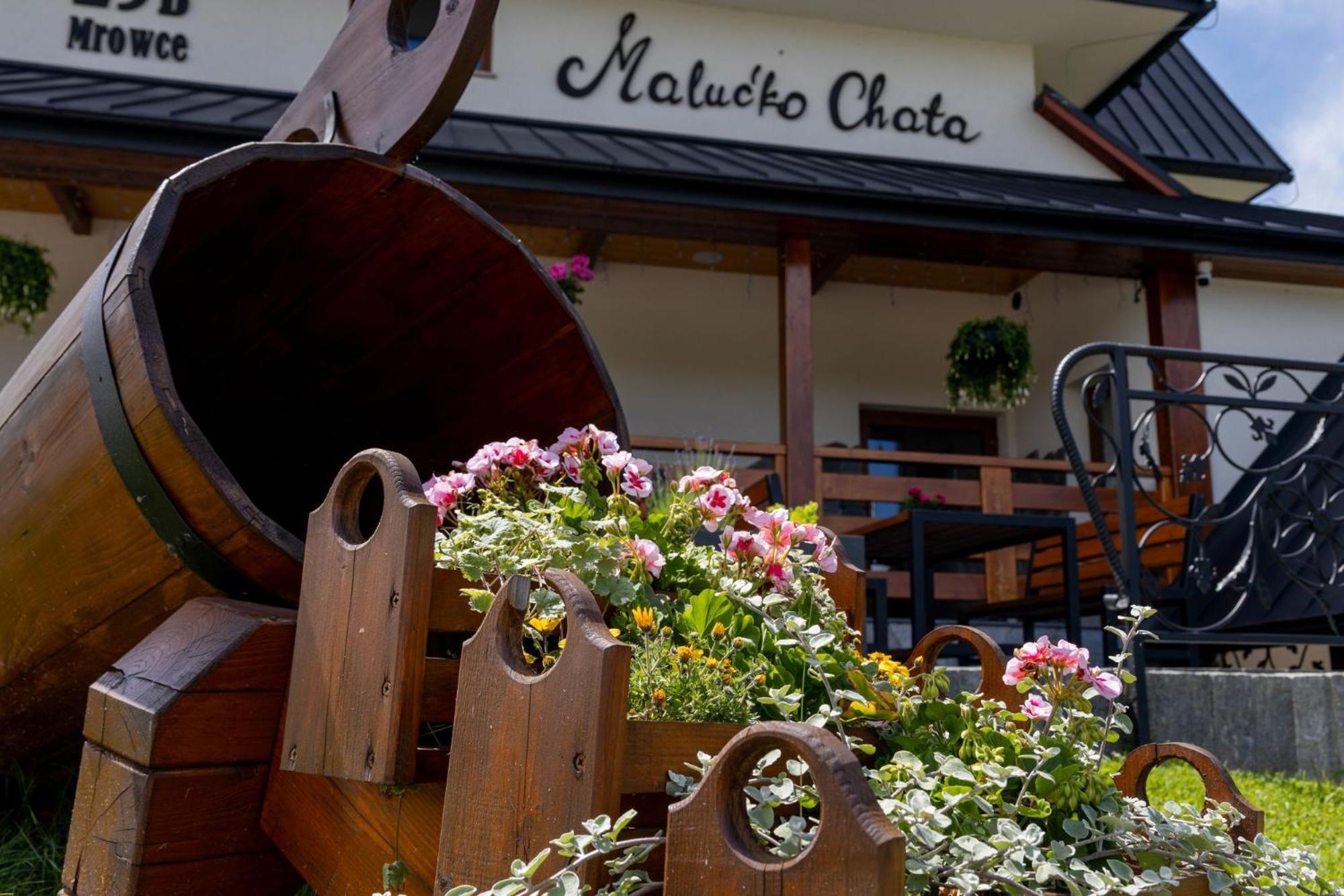 „Malucko Chata” Zakopane Exterior foto